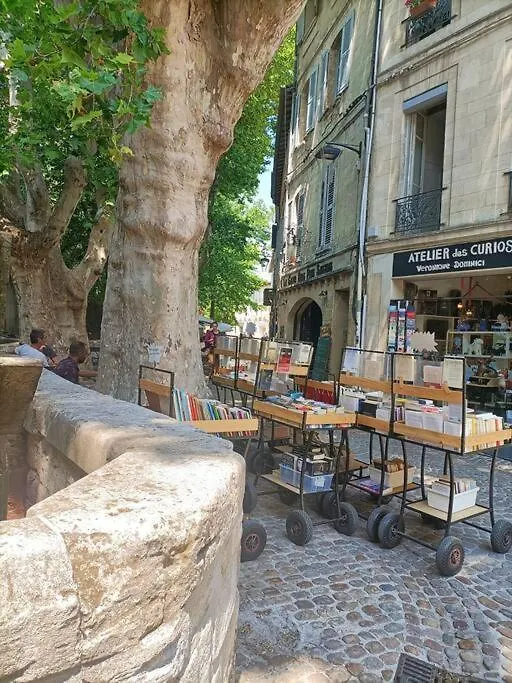 Appartement En Hyper Centre La Clef Des Chants Avignon France